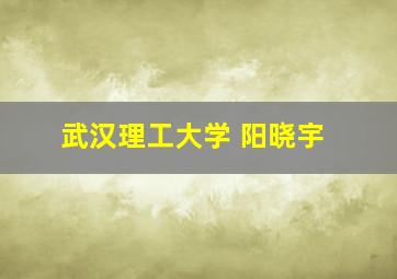 武汉理工大学 阳晓宇